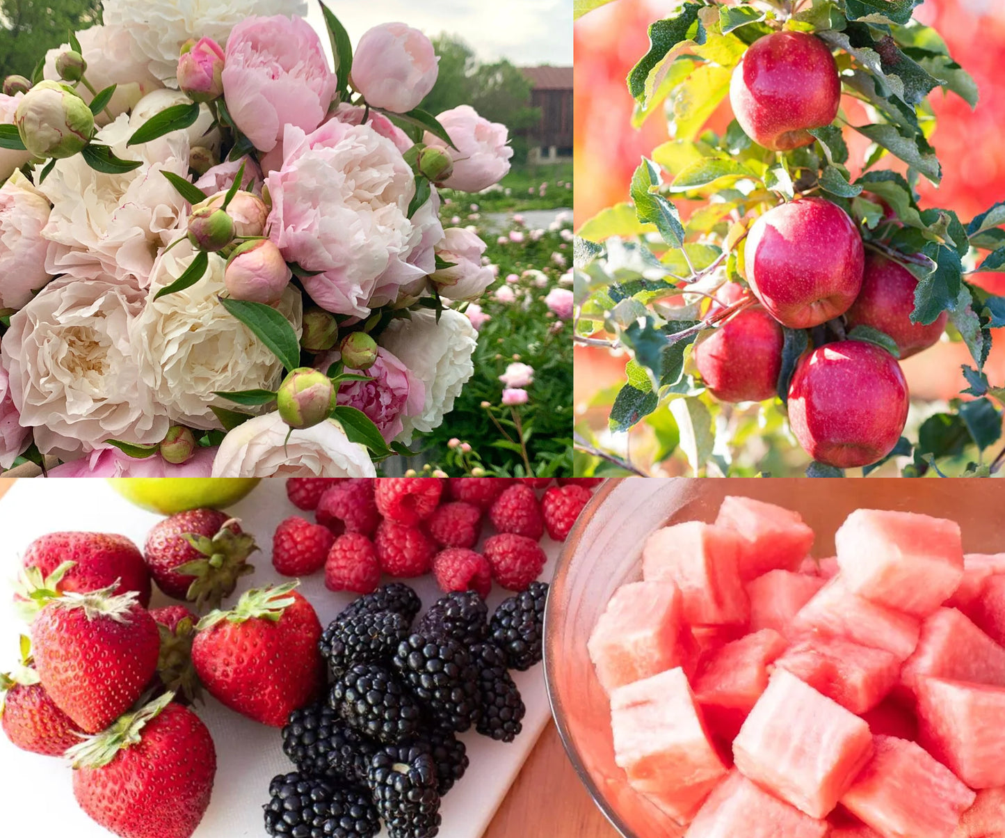 Pink Orchard | Soy Candle