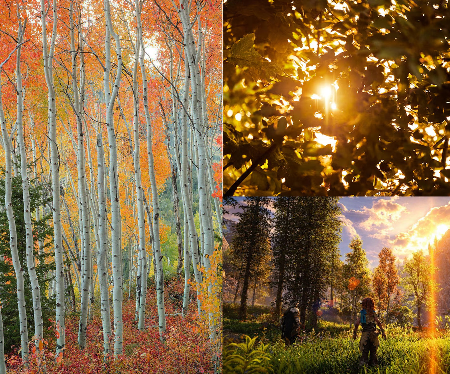 Timber Pass | Soy Candle