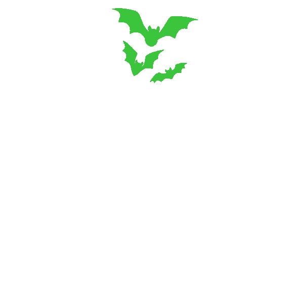 Effervescent Co.
