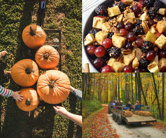 Harvest Festival | Soy Candle