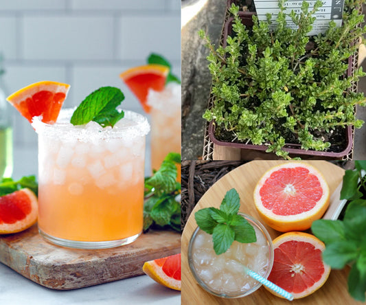 Grapefruit Mojito | Soy Candle