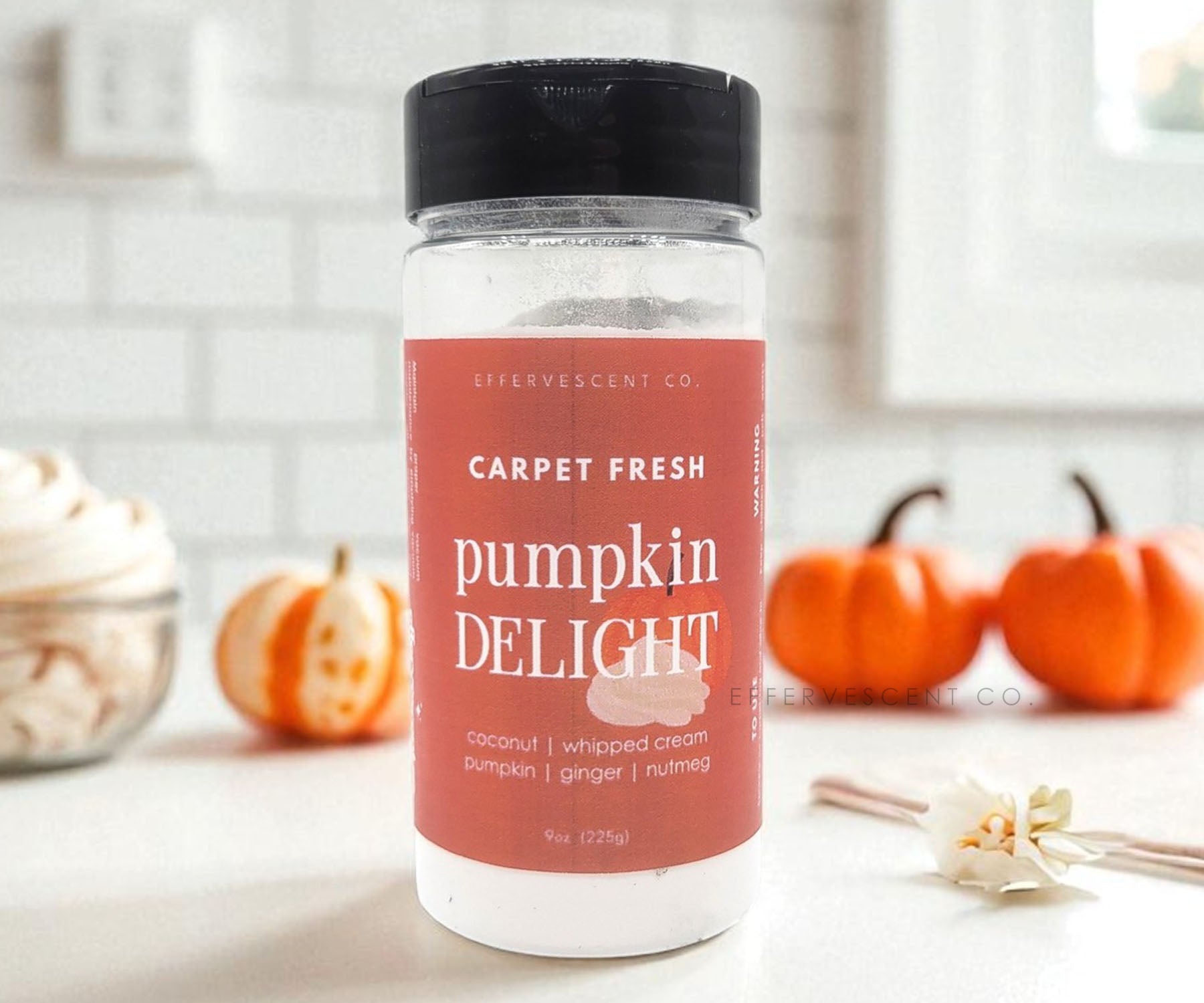 Pumpkin Delight [Fall '25] | Carpet Fresh