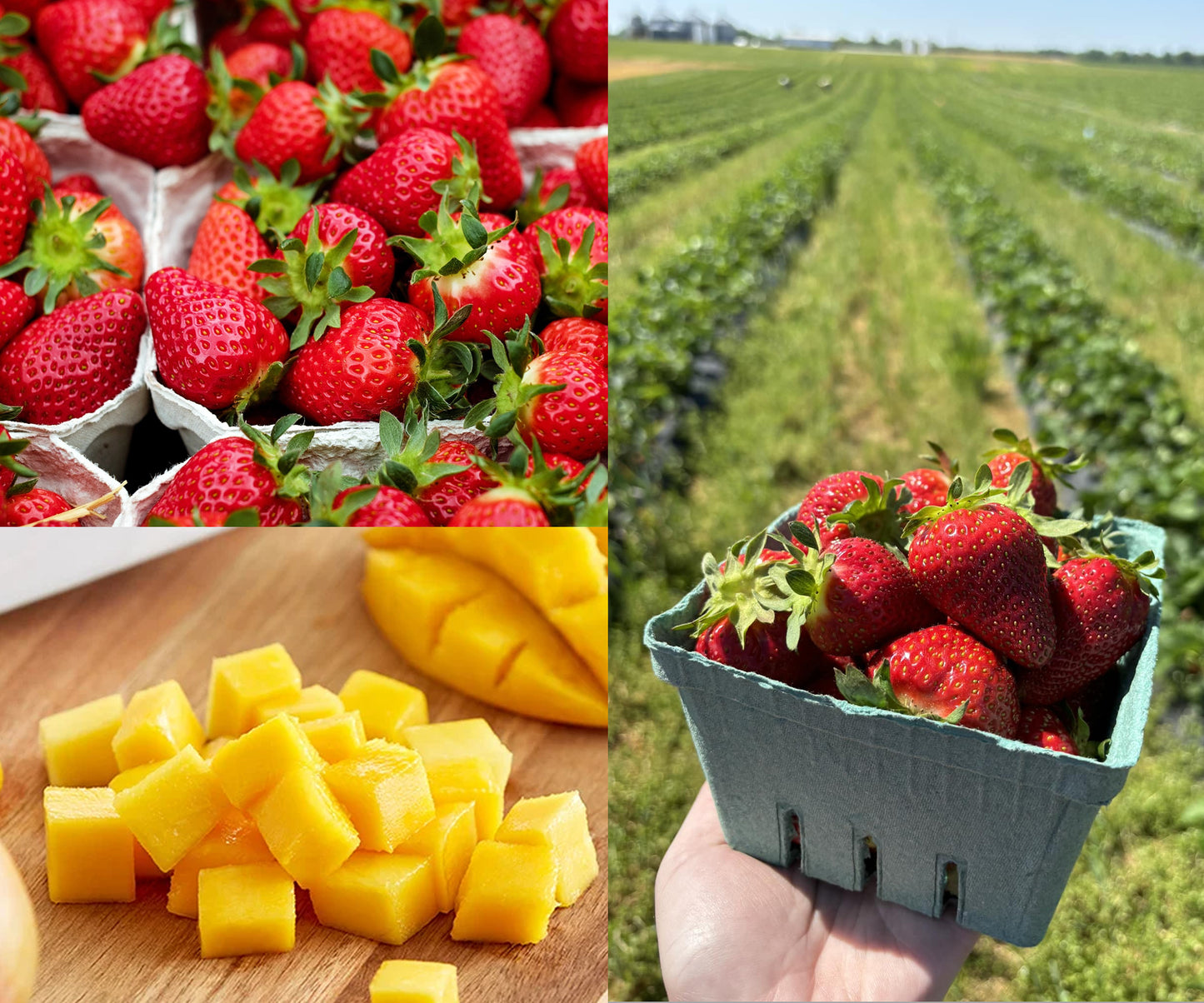Strawberry Fields | Soy Candle