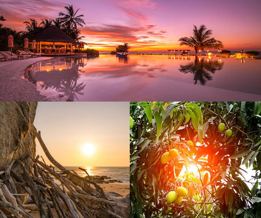 Sunlit Shores | Soy Candle